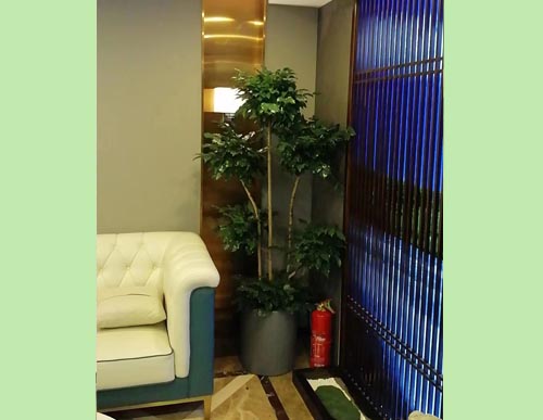 绿植租摆：多层造型绿宝