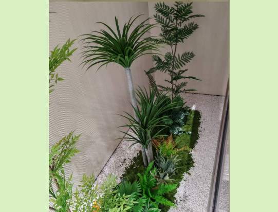 室内仿真植物造景