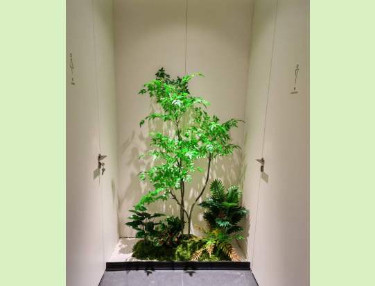 室内仿真植物造景