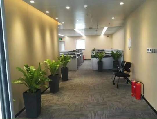 绿植租摆案例：中车