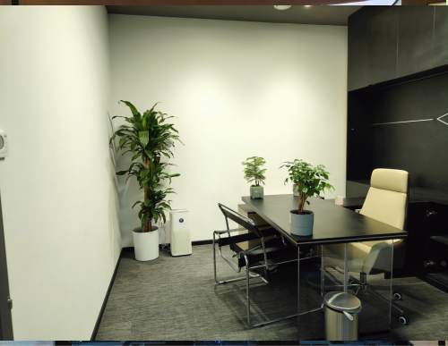 科技公司绿植租摆