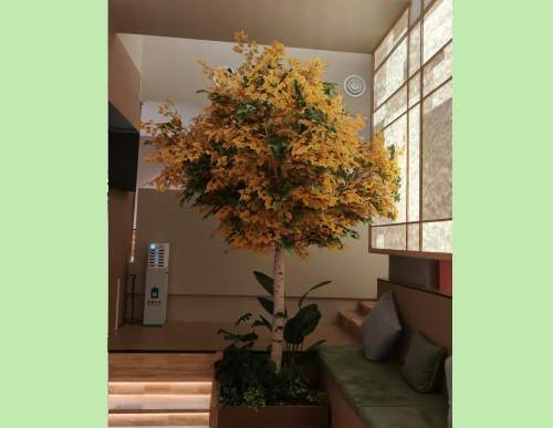 室内仿真植物造景