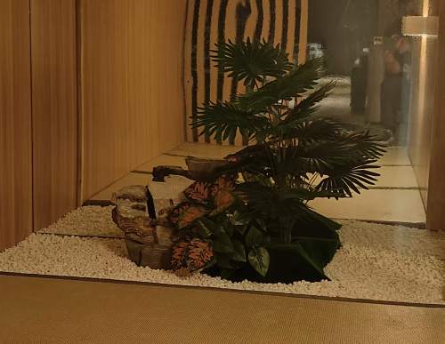 室内仿真植物造景