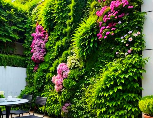 室内植物墙