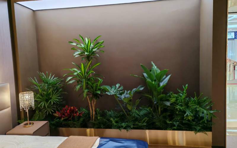 室内植物造景