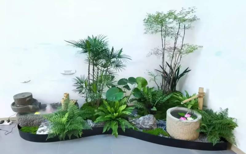 室内植物造景