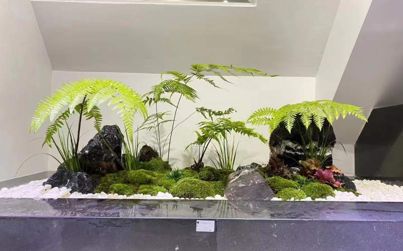 室内植物造景