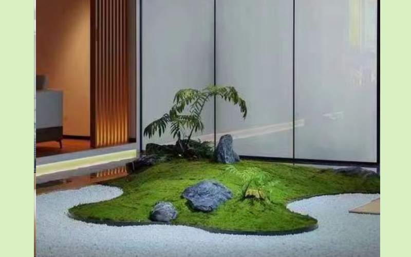 室内植物造景