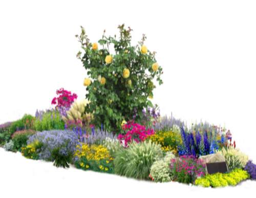 花境设计与施工