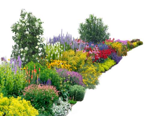 花境设计与施工