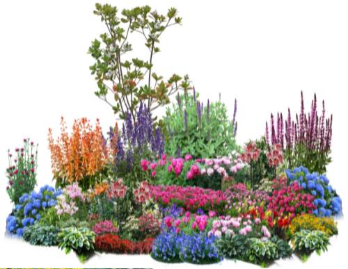 花境设计与施工