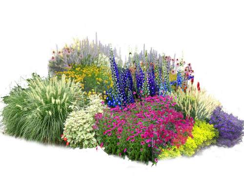 花境设计与施工