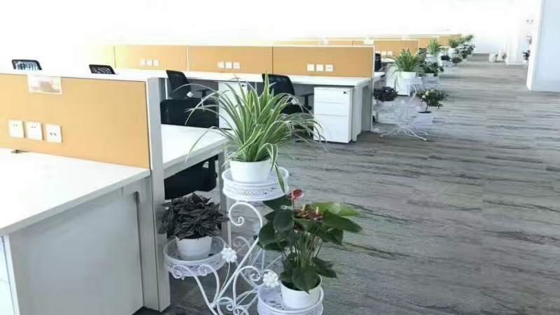 网络科技公司绿植租赁