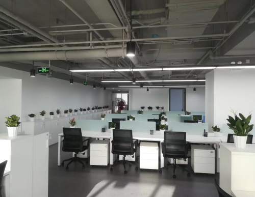 环保科技公司：绿植租摆