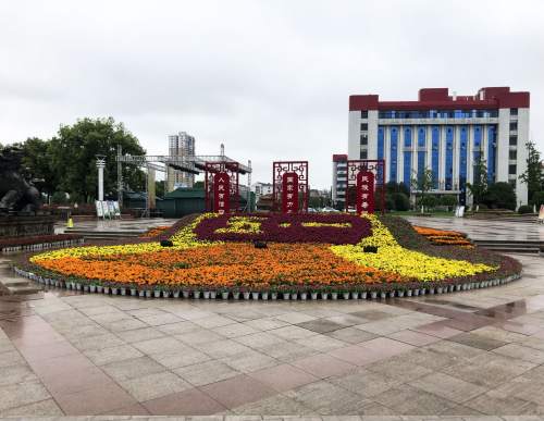 五一庆典花坛