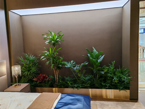 室内造景